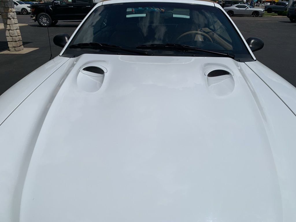 Used 1998 Ford Mustang Cobra RWD image 9