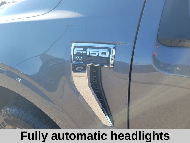 Used 2025 Ford F150 XLT w/ Equipment Group 301A Standard image 8
