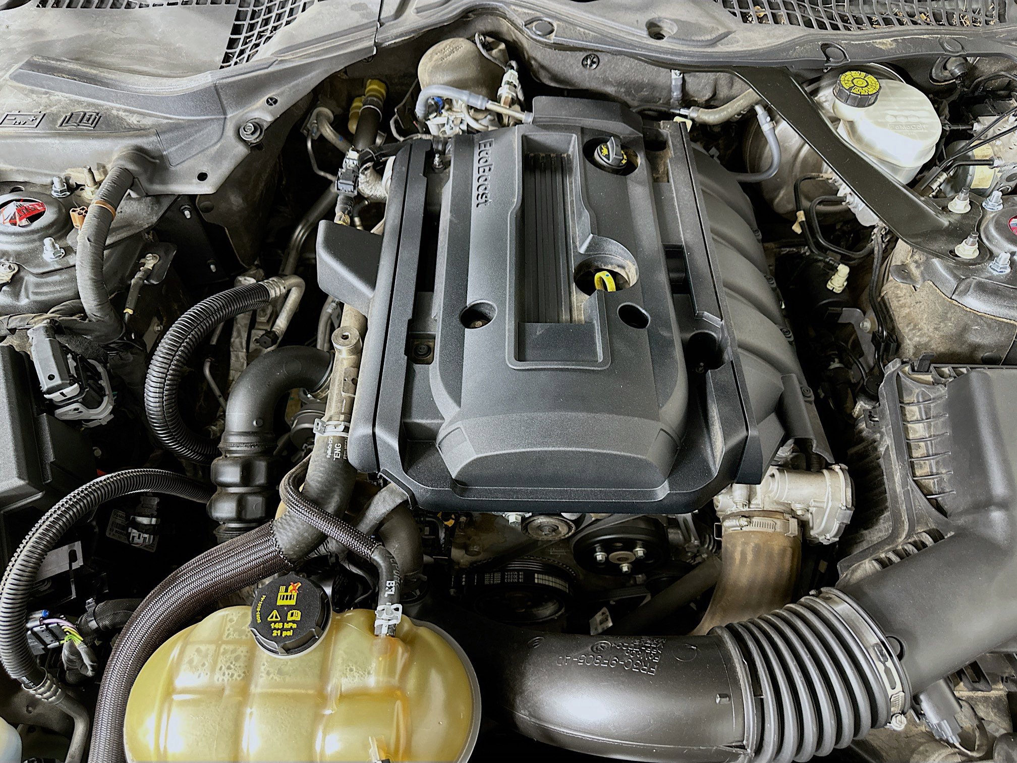 Used 2019 Ford Mustang Premium image 28