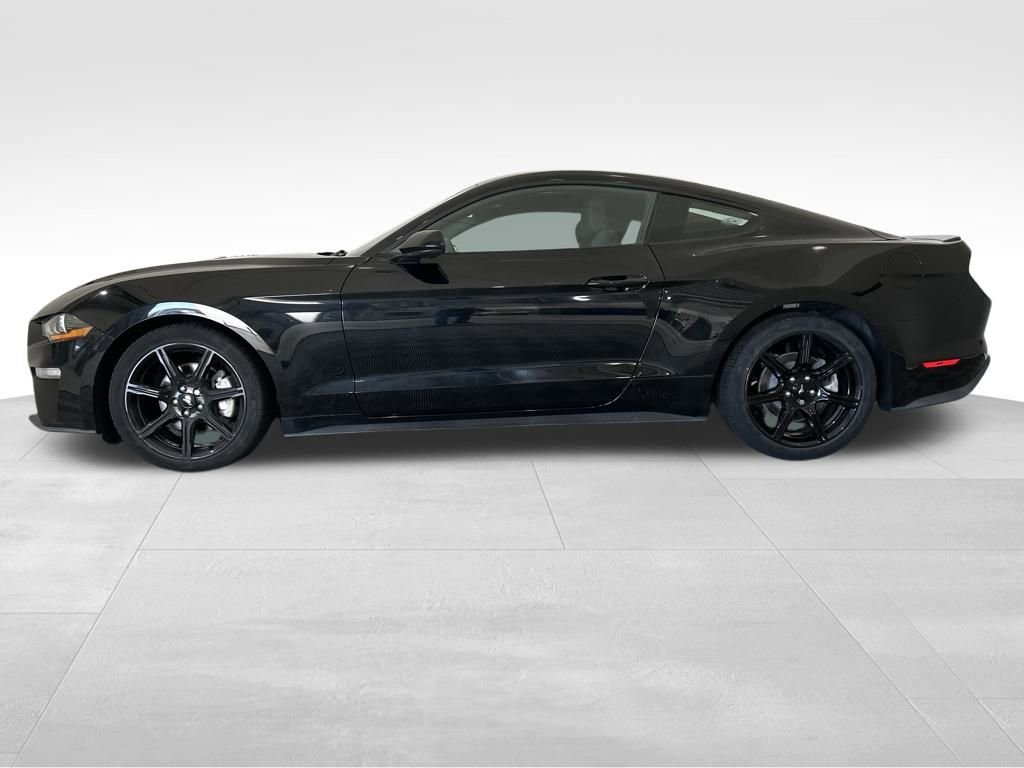 Used 2019 Ford Mustang Coupe w/ Equipment Group 101A image 2