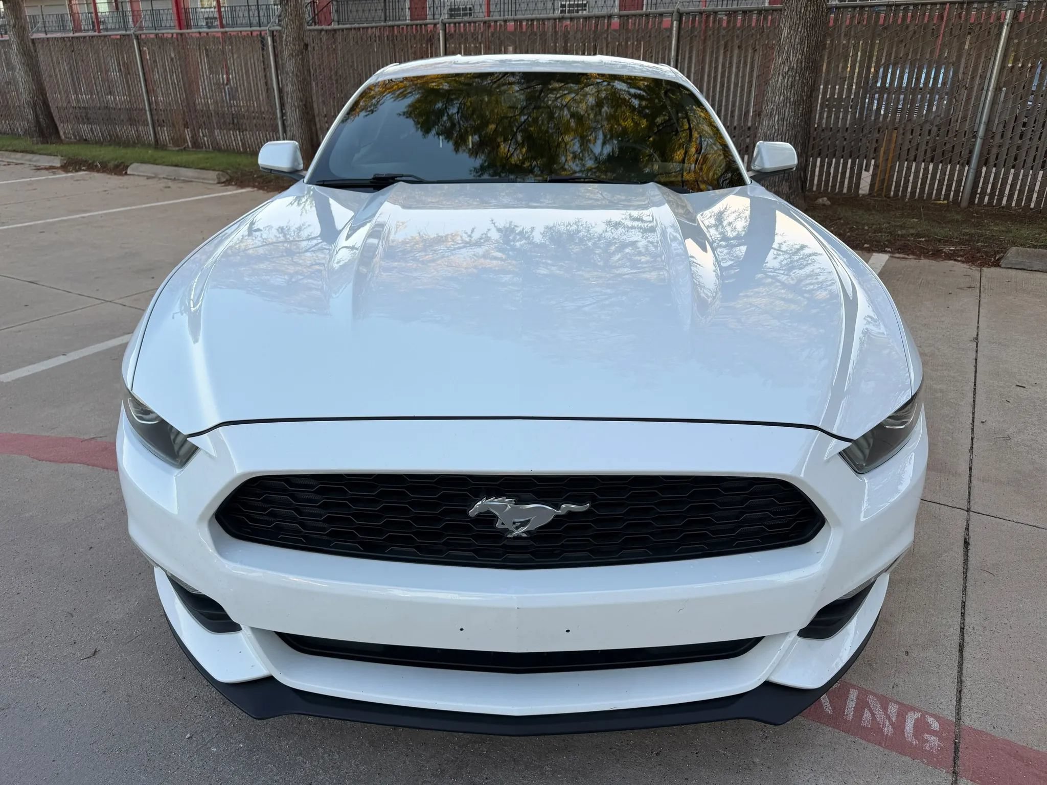 Used 2016 Ford Mustang Coupe RWD image 3