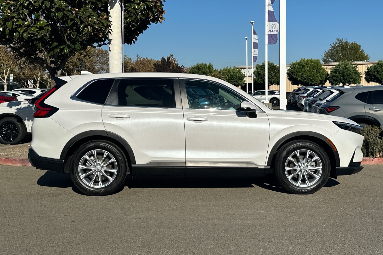 Certified 2025 Honda CR-V EX-L image 3