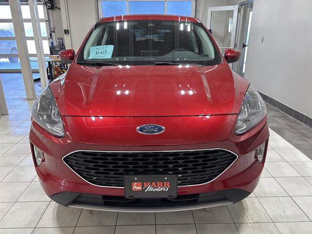 Used 2022 Ford Escape SEL w/ Technology Package image 6