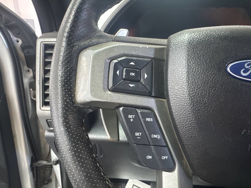 Used 2017 Ford F150 Raptor w/ Equipment Group 802A Luxury AWD/4WD image 14