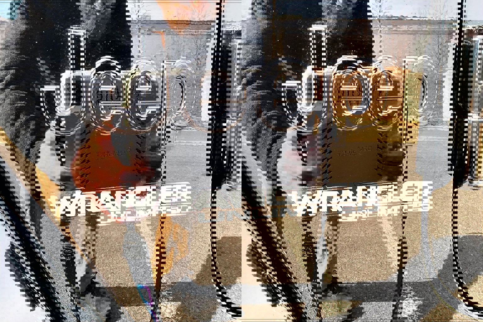 Used 2022 Jeep Wrangler Unlimited Sahara image 25