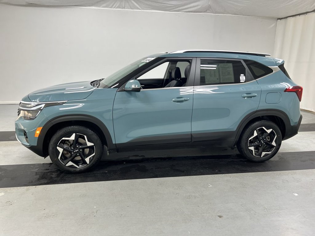 Used 2024 Kia Seltos EX AWD/4WD image 6