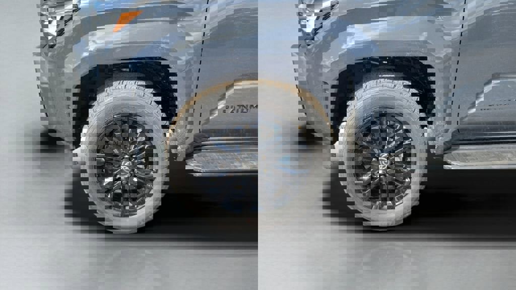 New 2026 Toyota 4Runner Platinum image 10