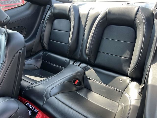 Used 2024 Ford Mustang Premium image 15