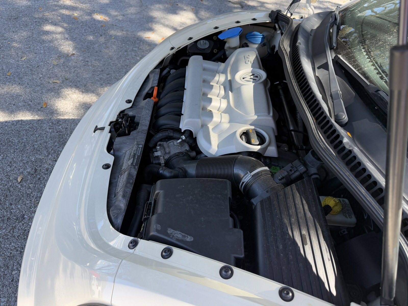 Used 2008 Volkswagen Beetle S image 31