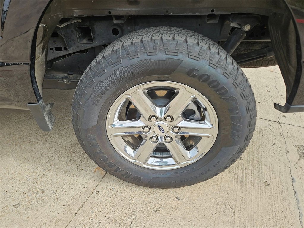 Used 2025 Ford F150 XLT w/ Equipment Group 301A Standard image 28