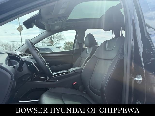 Used 2023 Hyundai Tucson Limited image 3