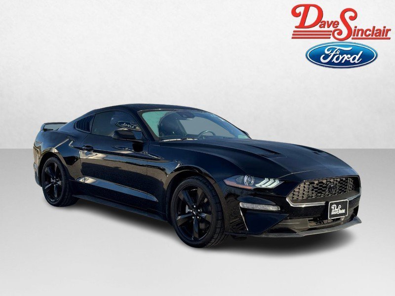Used 2023 Ford Mustang Premium w/ Equipment Group 201A image 4