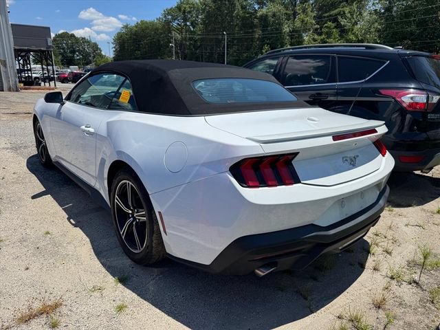 Used 2024 Ford Mustang Premium RWD image 2