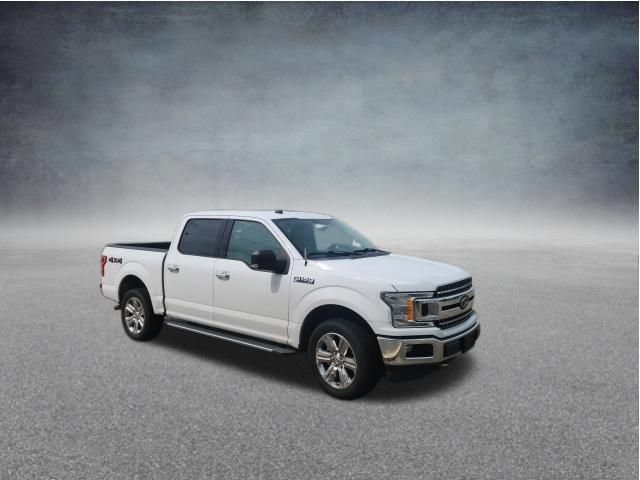 Used 2019 Ford F150 XLT w/ Equipment Group 302A Luxury AWD/4WD image 8