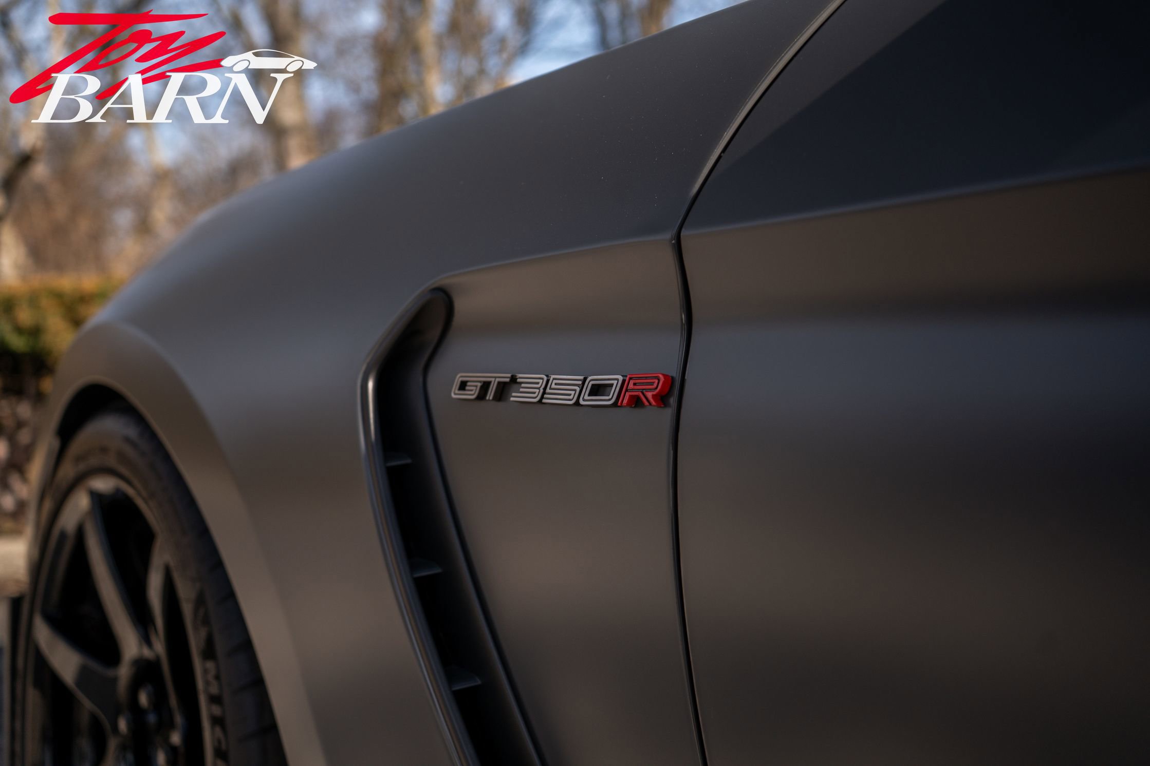 Used 2018 Ford Mustang Shelby GT350R w/ GT350R Equipment Group 920A image 10