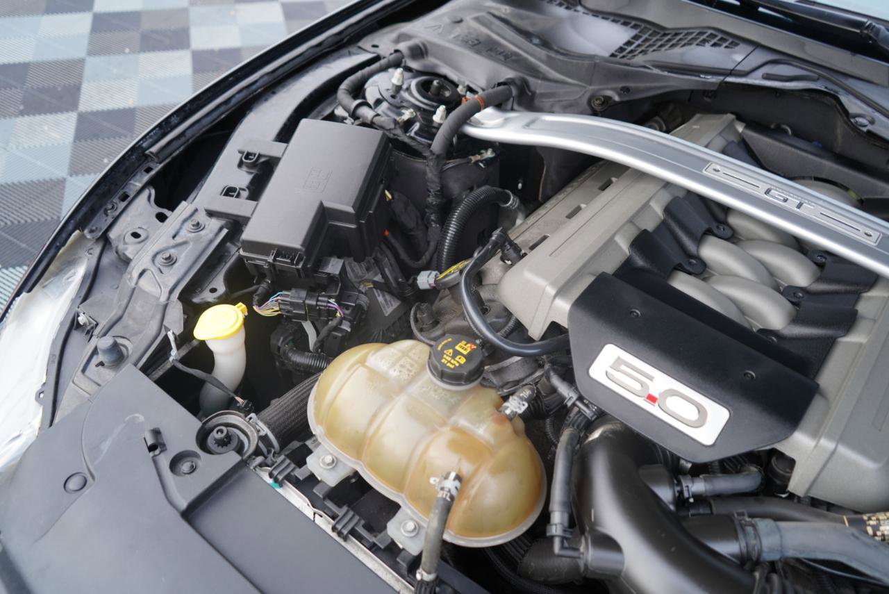 Used 2015 Ford Mustang GT Premium w/ Equipment Group 401A image 67