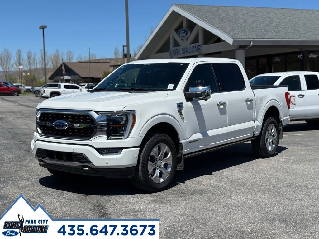 Used 2023 Ford F150 Platinum