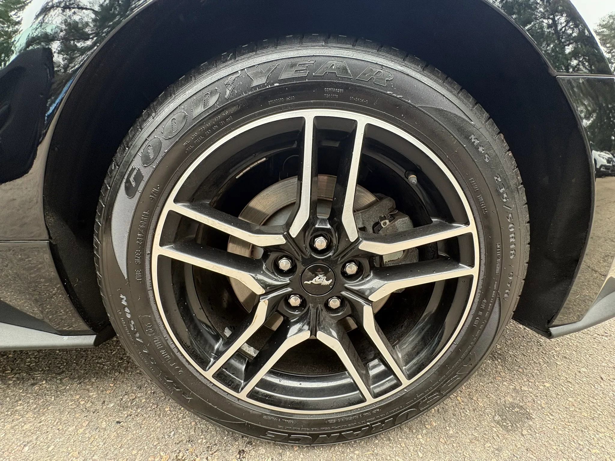 Used 2018 Ford Mustang GT RWD image 39