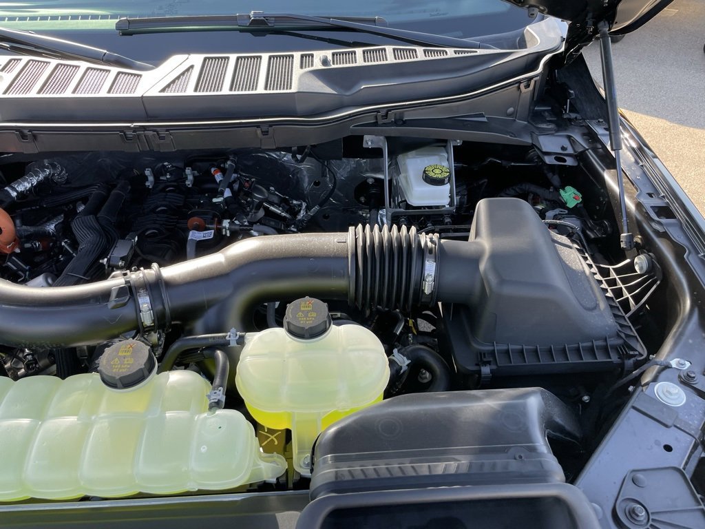 New 2025 Ford F150 XLT w/ Equipment Group 302A MID image 43