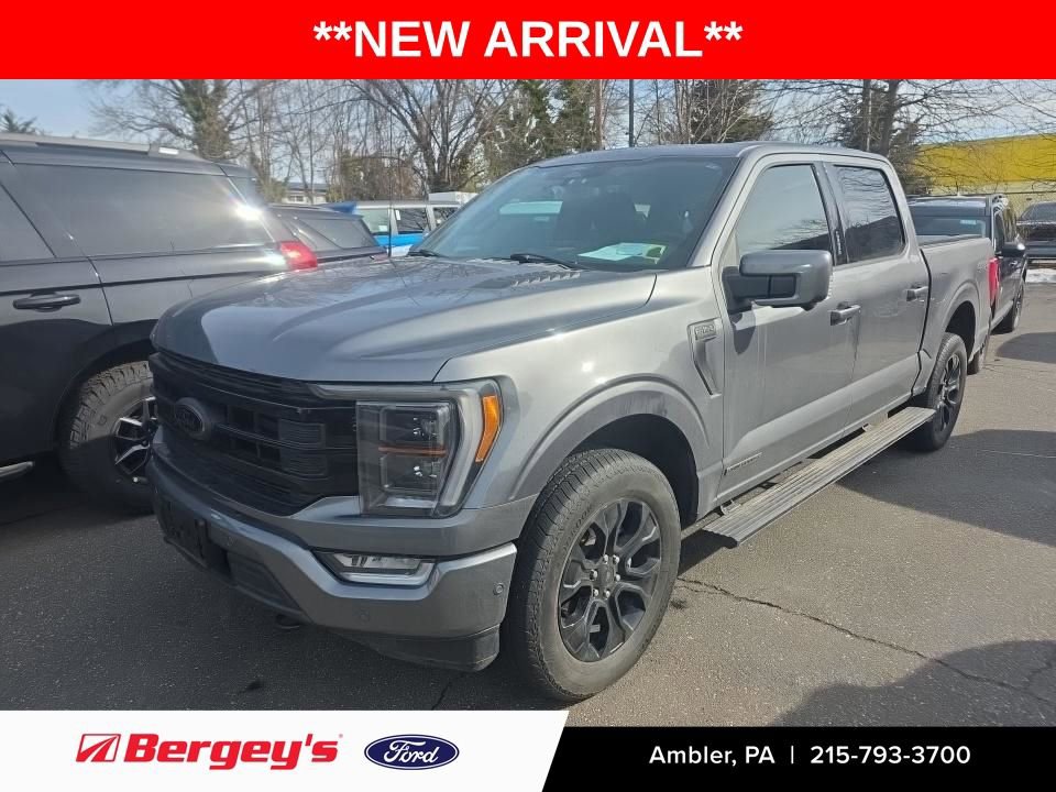 Used 2022 Ford F150 Platinum w/ Equipment Group 701A High image 1