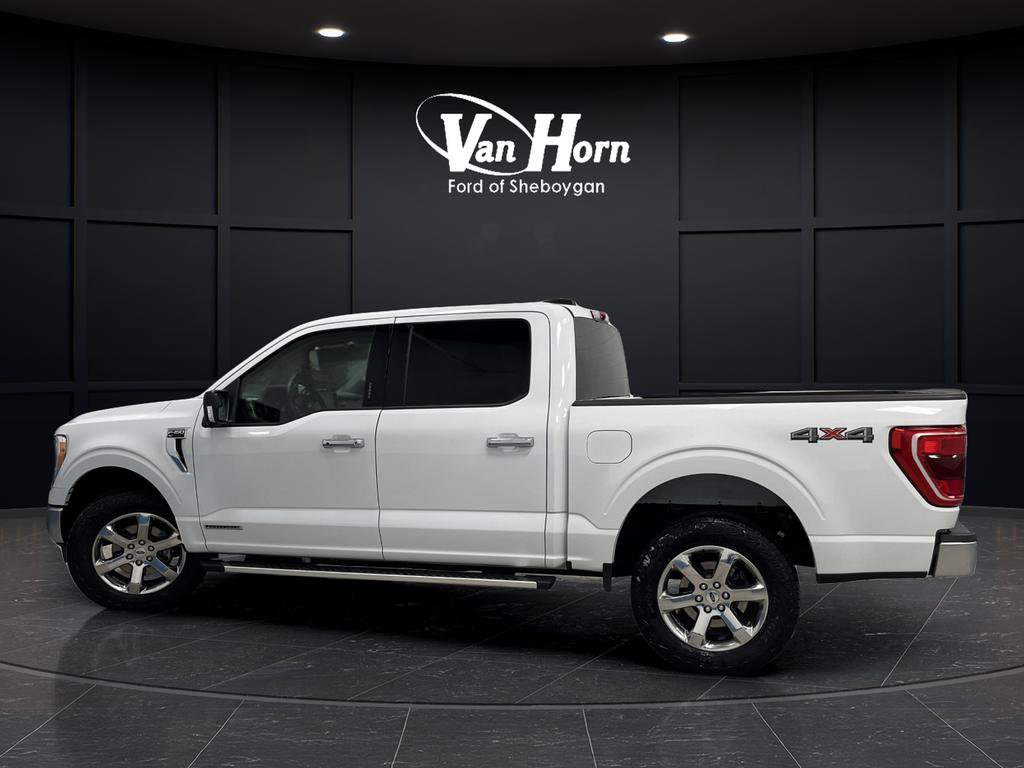 Used 2023 Ford F150 XLT w/ Equipment Group 302A High image 12