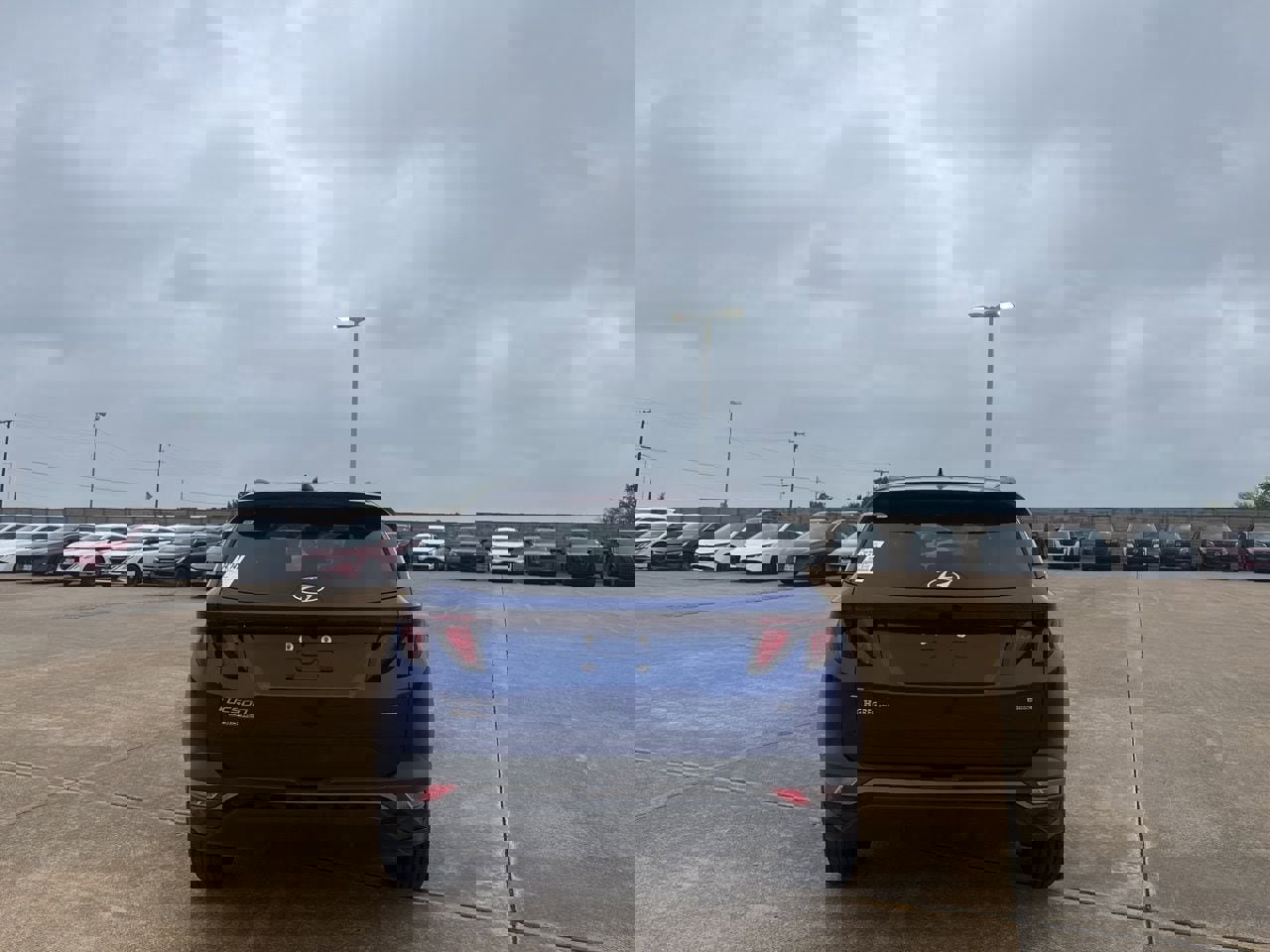 Used 2024 Hyundai Tucson SEL AWD/4WD image 19