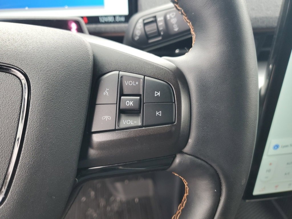 Used 2021 Ford Mustang Mach-E GT image 16