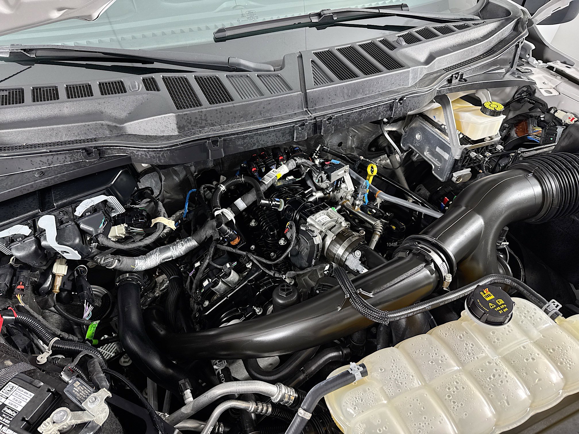 Used 2024 Ford F150 STX w/ STX Black Appearance Package image 14