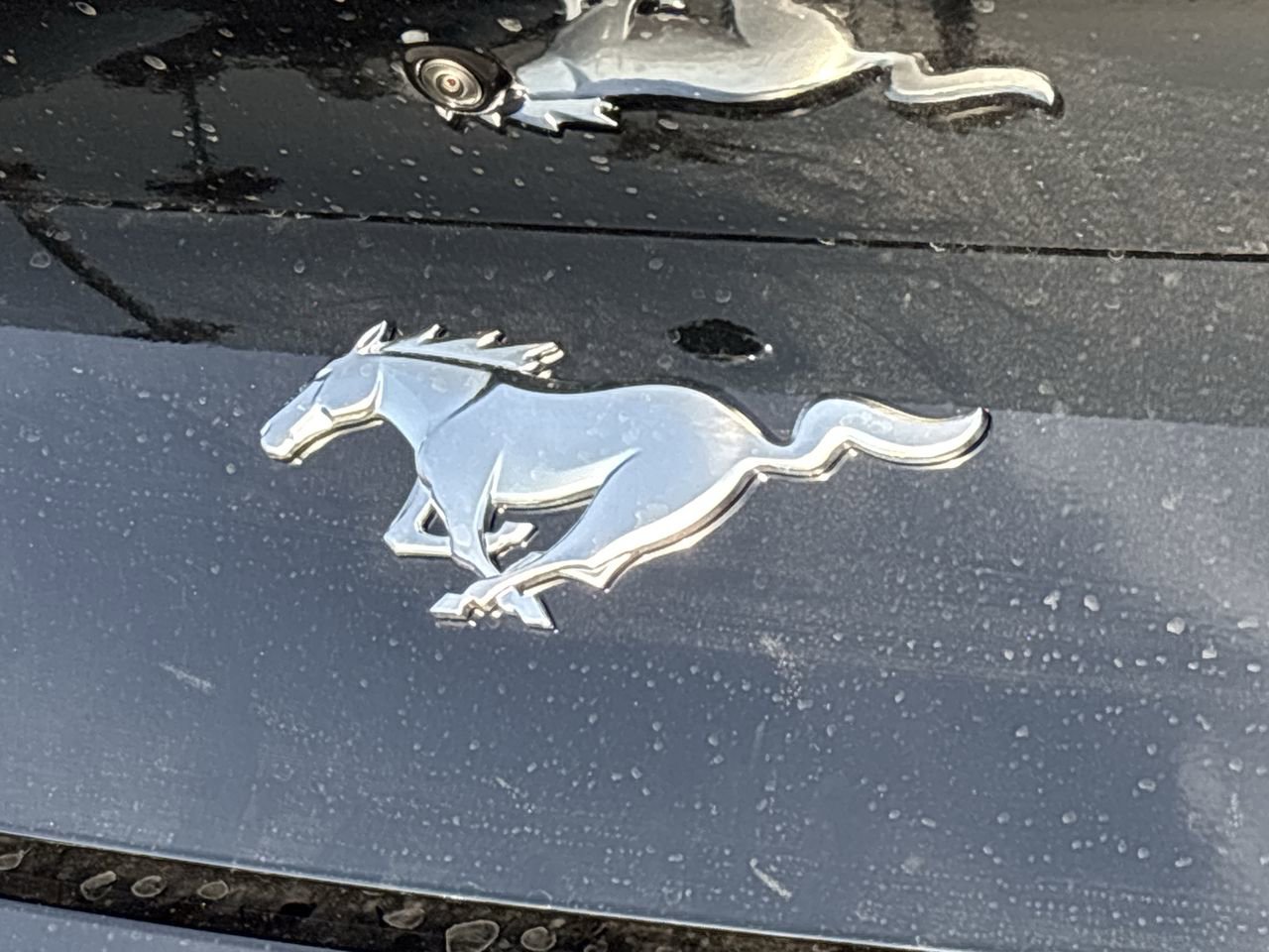 Used 2025 Ford Mustang Coupe RWD image 9