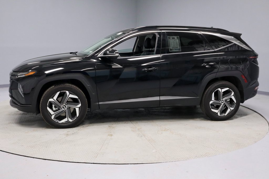 Used 2024 Hyundai Tucson Limited image 10