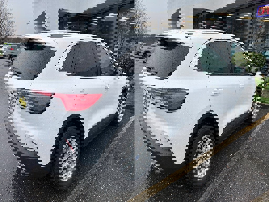 Used 2022 Ford Escape SE w/ Convenience Package image 6