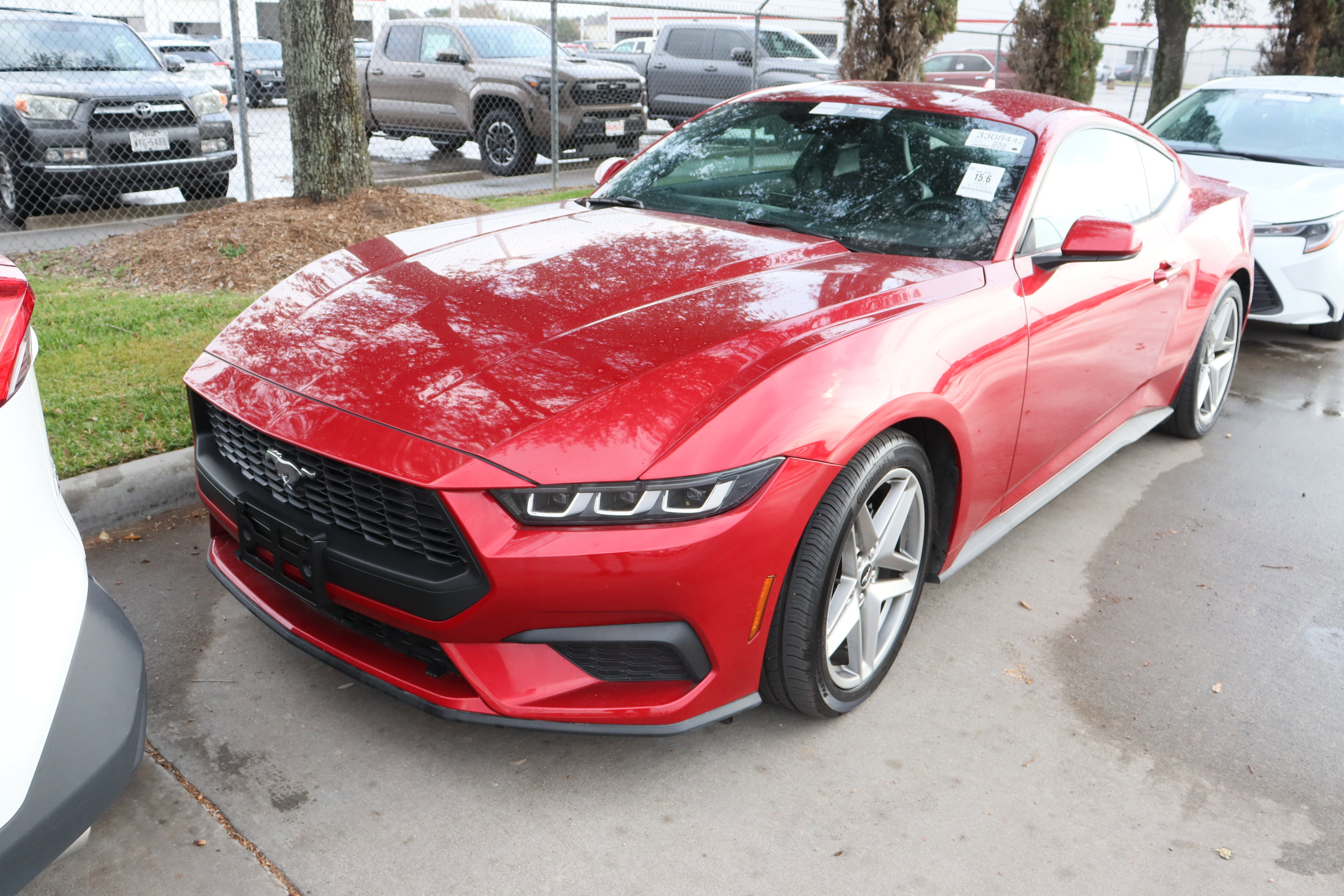 Used 2024 Ford Mustang Premium image 5