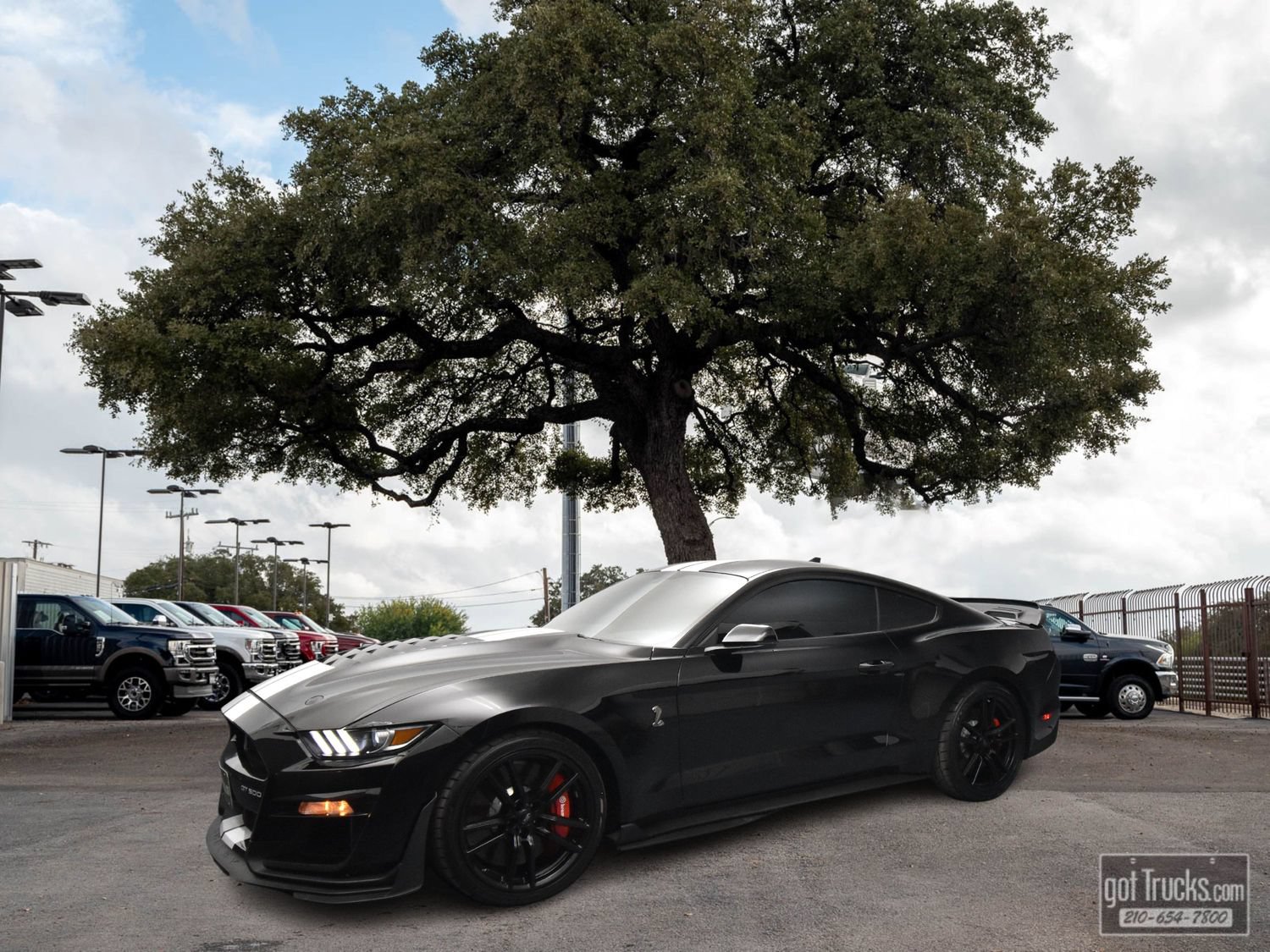 Used 2022 Ford Mustang Shelby GT500 w/ Technology Package RWD video 1