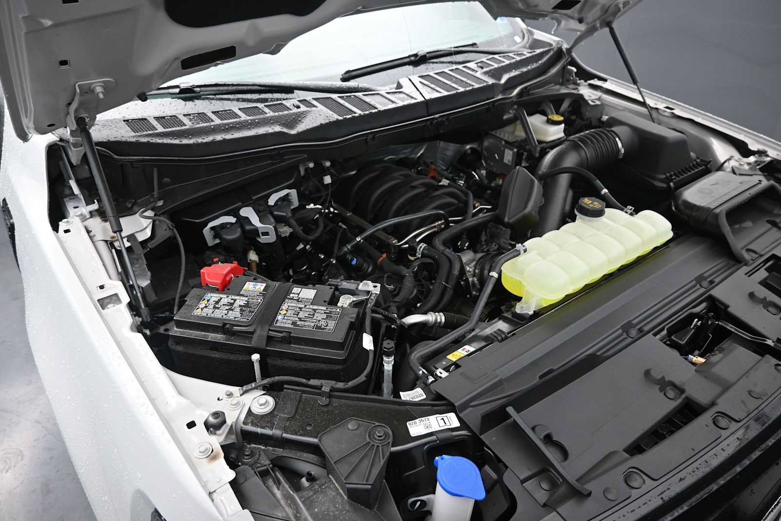New 2026 Ford F150 XLT w/ Equipment Group 302A MID AWD/4WD image 39