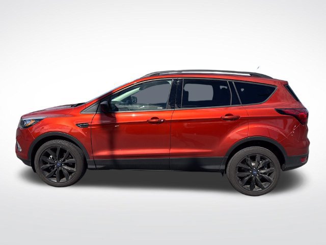 Used 2019 Ford Escape SE AWD/4WD image 2