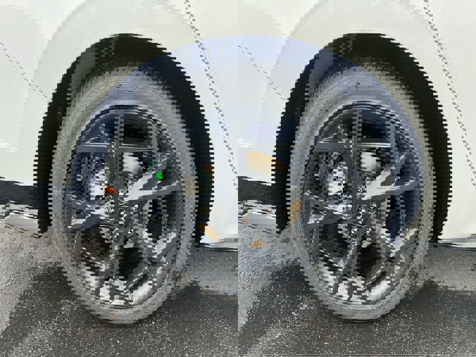 New 2026 Hyundai Elantra N Line image 15