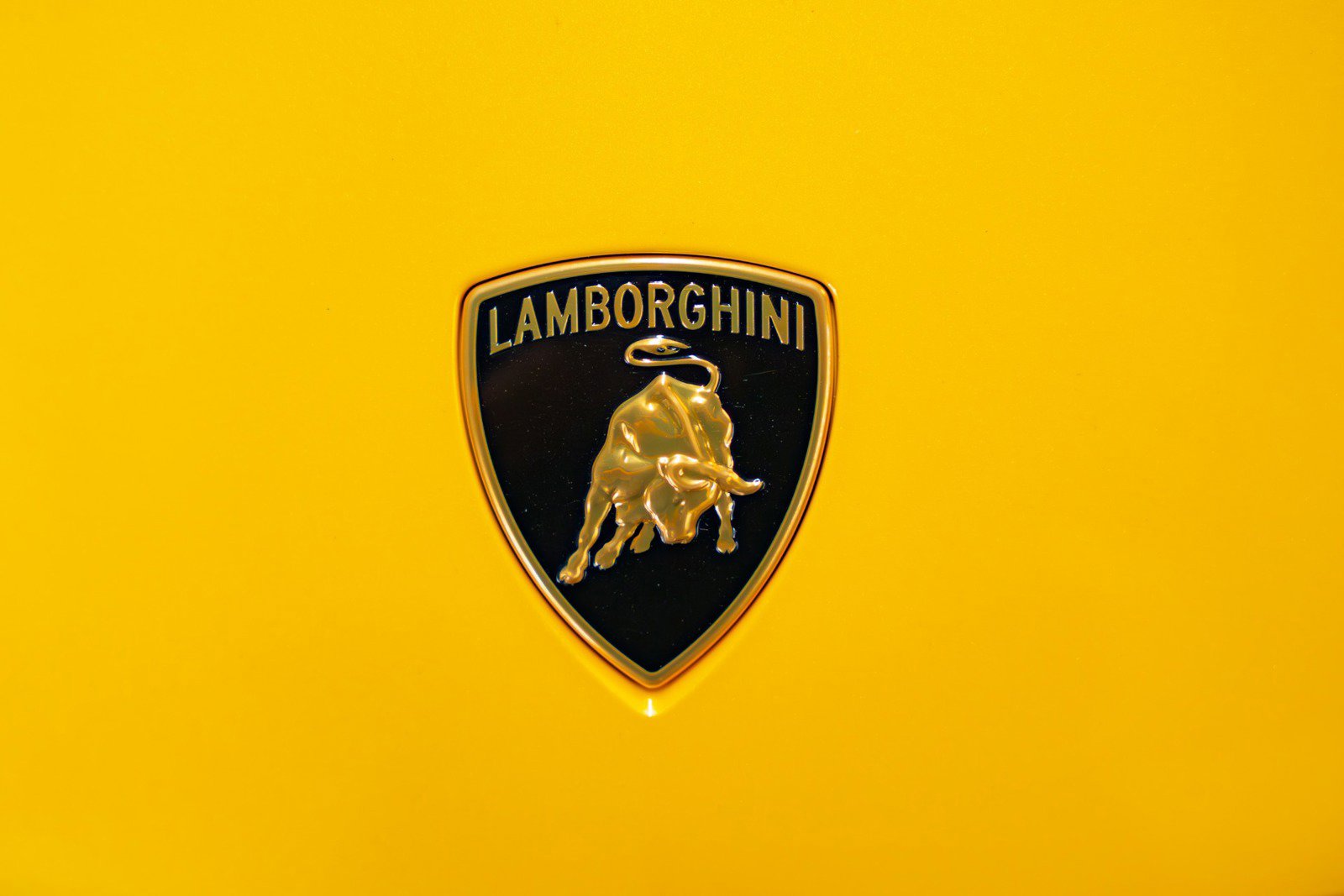 Used 2024 Lamborghini Urus Performante image 5