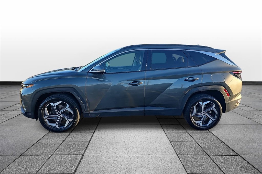 Used 2023 Hyundai Tucson Limited image 6