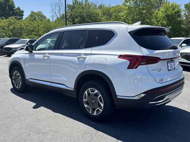Certified 2023 Hyundai Santa Fe Blue w/ Cargo Package image 5