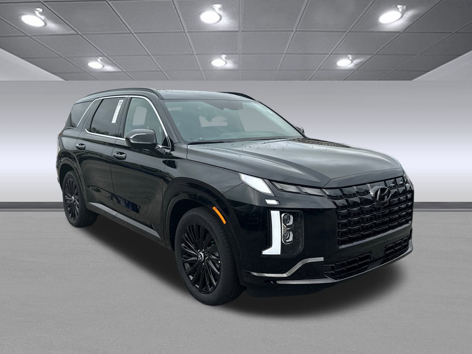 New 2025 Hyundai Palisade Calligraphy
