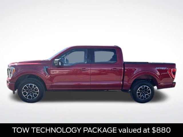 Used 2022 Ford F150 XLT w/ Equipment Group 302A High AWD/4WD image 8