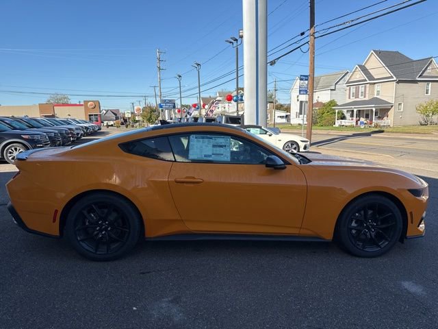 New 2026 Ford Mustang Coupe w/ Mustang Nite Pony Package RWD image 5