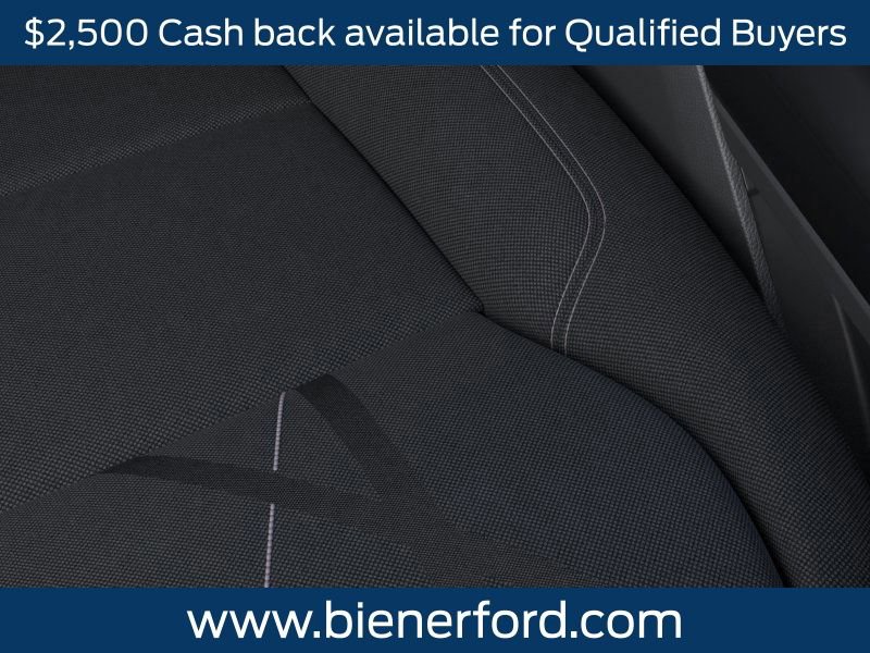 New 2026 Ford F150 STX w/ Equipment Group 200A image 16