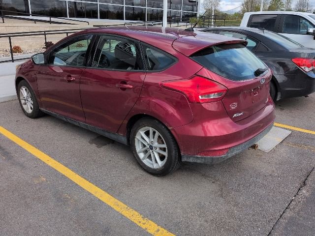 Used 2016 Ford Focus SE w/ SE Cold Weather Package FWD image 6