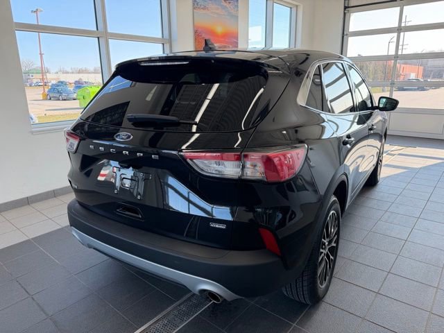 Used 2022 Ford Escape SE w/ Convenience Package image 6