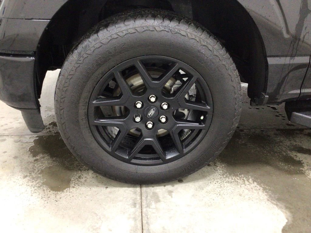 Used 2024 Ford F150 STX w/ STX Black Appearance Package image 8