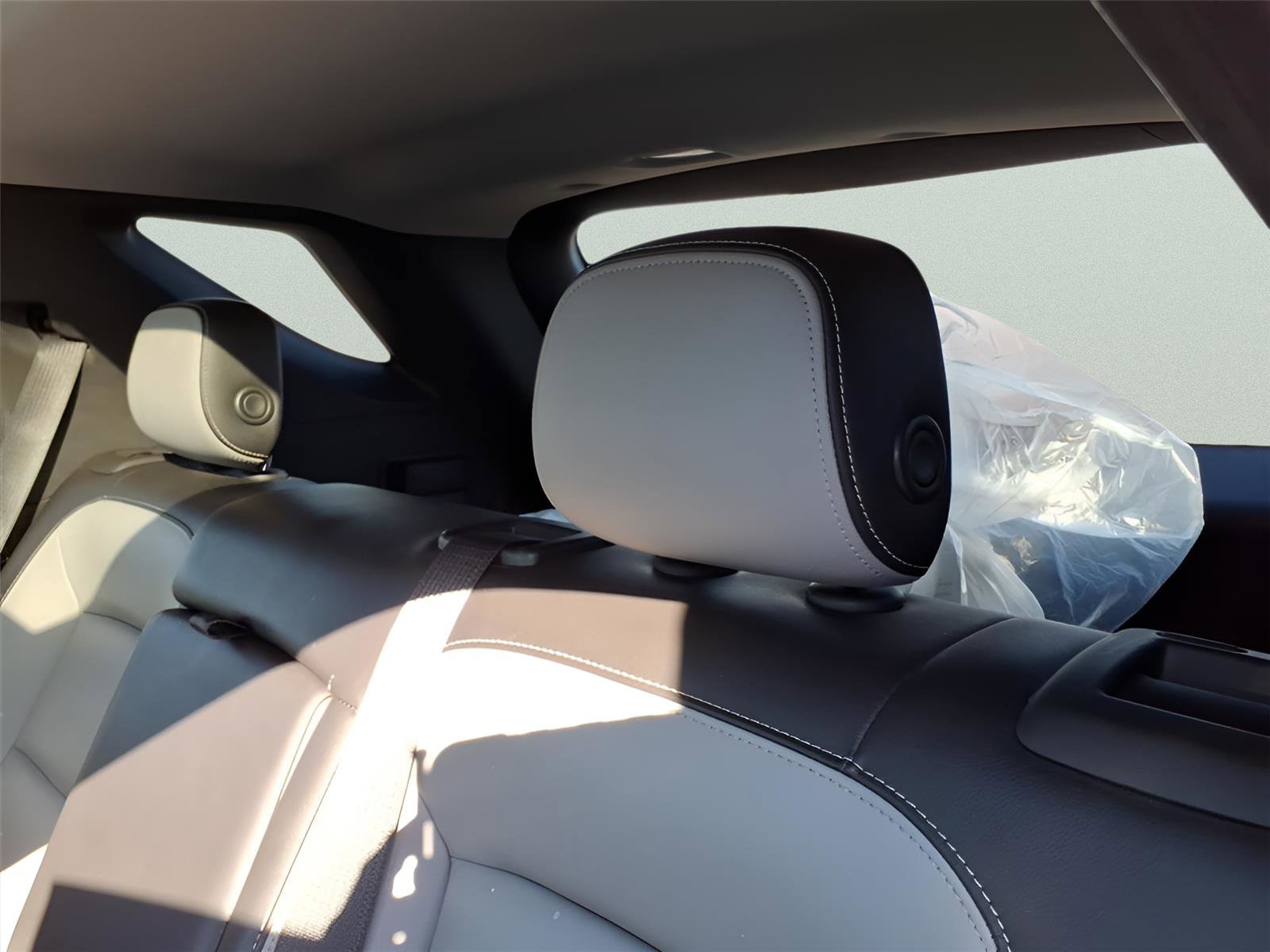 Used 2019 Chevrolet Equinox Premier image 13