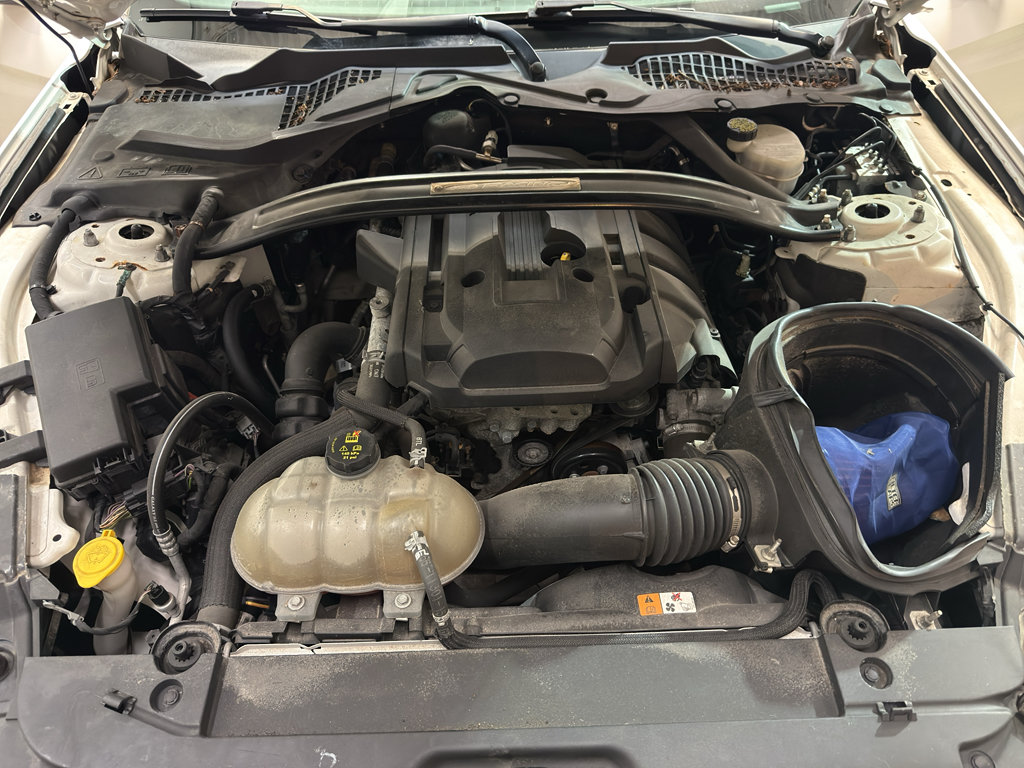 Used 2017 Ford Mustang Coupe RWD image 26