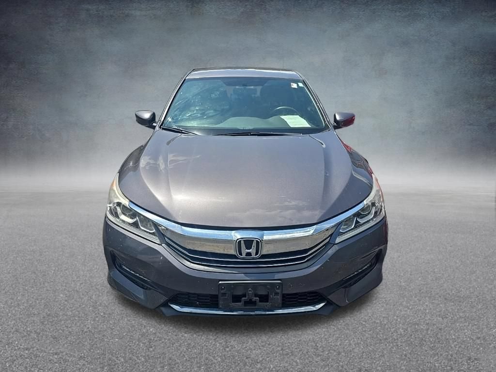 Used 2017 Honda Accord Sport image 3