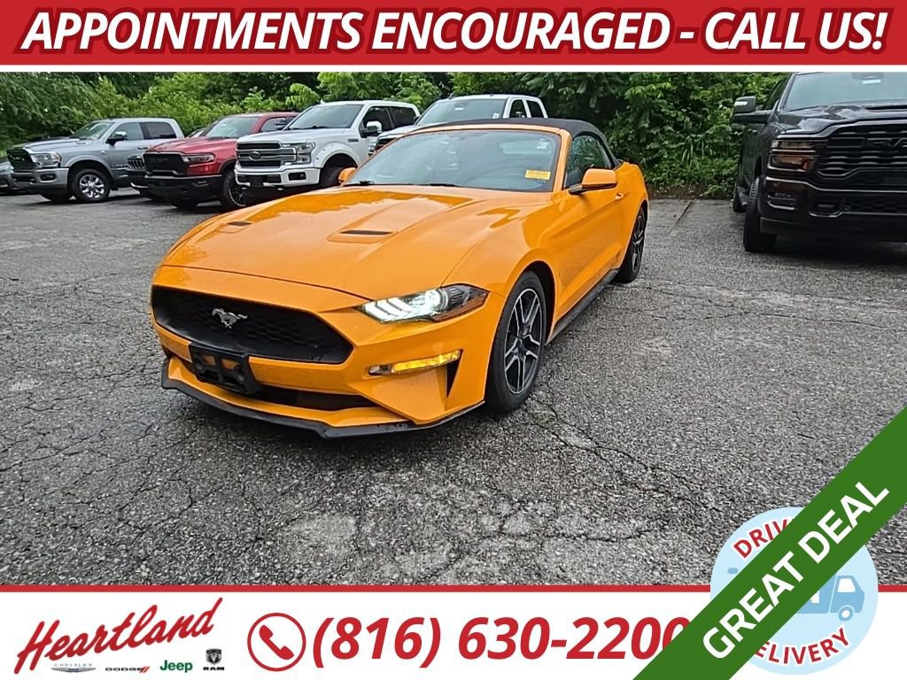 Used 2018 Ford Mustang Premium w/ Equipment Group 201A